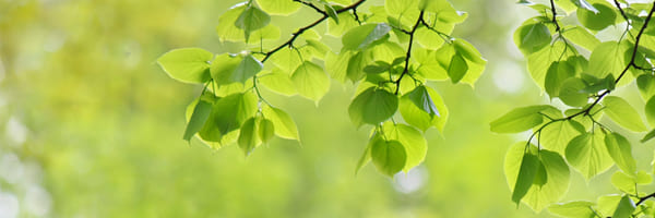 プライバシーポリシー